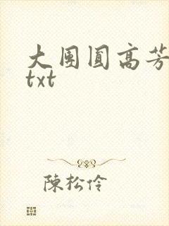 大团圆高芳小说txt
