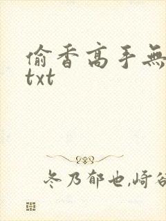 偷香高手无删减txt封面