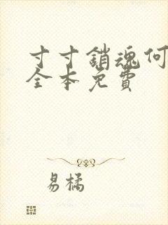 寸寸销魂何生祥全本免费