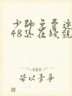 少帅免费连续剧48集在线观看高清版