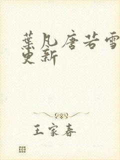 叶凡唐若雪王婿更新