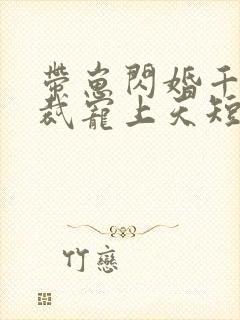 带崽闪婚千亿总裁宠上天短剧