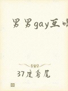 男男gay互吃