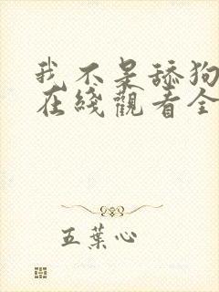 我不是舔狗短剧在线观看全集