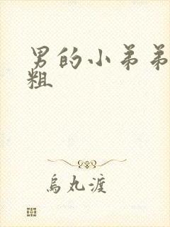 男的小弟弟有多粗