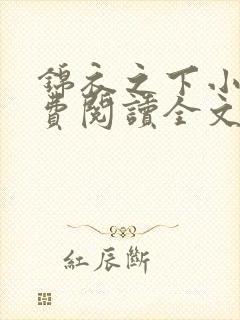 锦衣之下小说免费阅读全文无删减