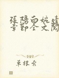 张阳白婉晴小说章节全文阅读