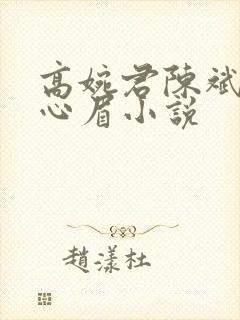 高婉君陈斌和赵心眉小说