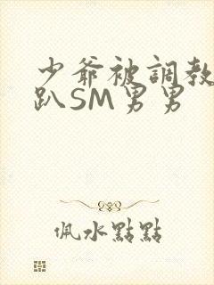 少爷被调教室跪趴SM男男