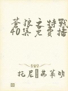 苍狼之特战突击40集免费播放