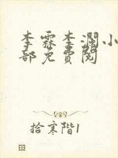 李霖李澜小说全部免费阅封面