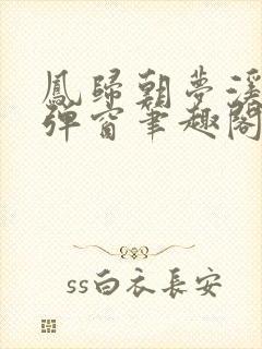 凤归朝梦溪石无弹窗笔趣阁