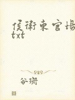 侯卫东官场笔记txt