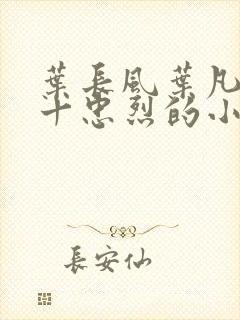叶长风叶凡一门十忠烈的小说名字
