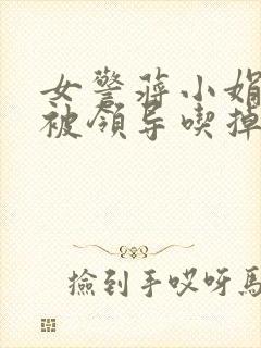 女警蒋小娟的奶被领导吃掉了封面