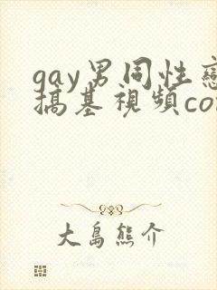 gay男同性恋搞基视频com.boy封面