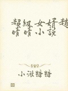 超级女婿赵旭李晴晴小说封面