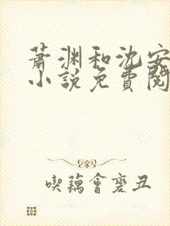 萧渊和沈安安的小说免费阅读