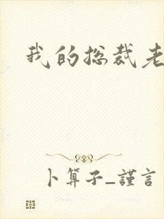 我的总裁老妈封面