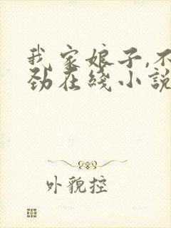 我家娘子,不对劲在线小说免费封面