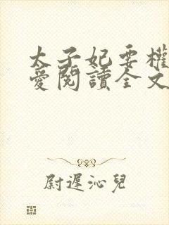 太子妃要权不要爱阅读全文封面