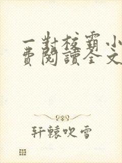 一对校霸小说免费阅读全文无弹窗封面