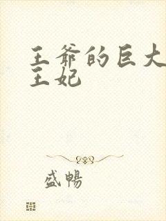 王爷的巨大进入王妃封面