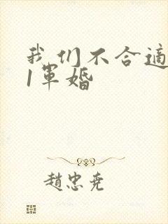 我们不合适1v1军婚