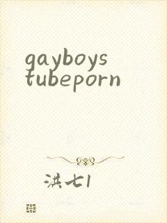 gayboystubeporn