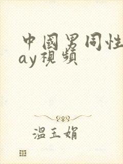 中国男同性恋gay视频