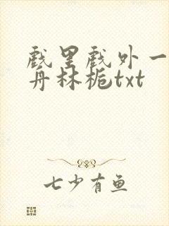戏里戏外一叶孤舟林栀txt