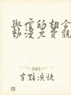 与僧的相合之夜动漫免费观看完整版