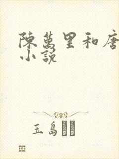 陈万里和唐嫣然小说