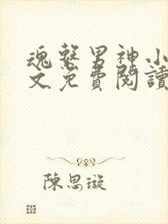 魂系男神小说全文免费阅读无弹窗