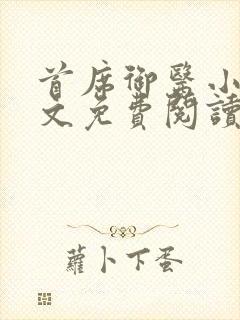 首席御医小说全文免费阅读完整版封面