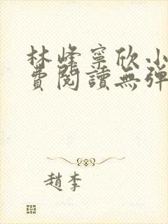 林峰宁欣小说免费阅读无弹窗