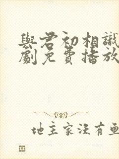 与君初相识电视剧免费播放在线观看