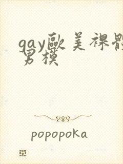 gay欧美裸体男模