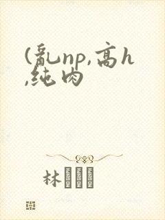 (乱np,高h,纯肉
