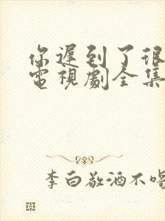 你迟到了很多年电视剧全集免费观看