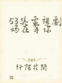 53集电视剧妈妈在等你