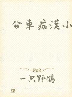 公车痴汉小说
