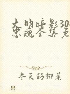 大明暗影300忠魂全集免费播放高清电影