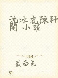 沈冰岚陈轩笔趣阁 小说封面