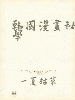 韩国漫画秘密教学