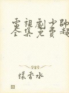 电视剧少帅48全集免费超清