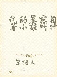 我的暴露日记原著小说叫什么