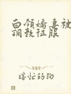 白领娇妻被老板调教征服