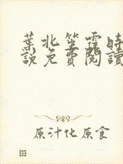 叶北笙霍时庭小说免费阅读无弹窗