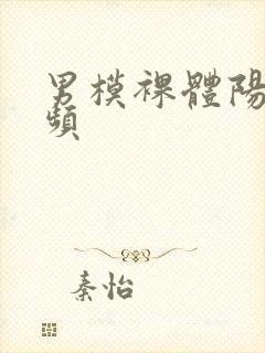 男模裸体阳具视频